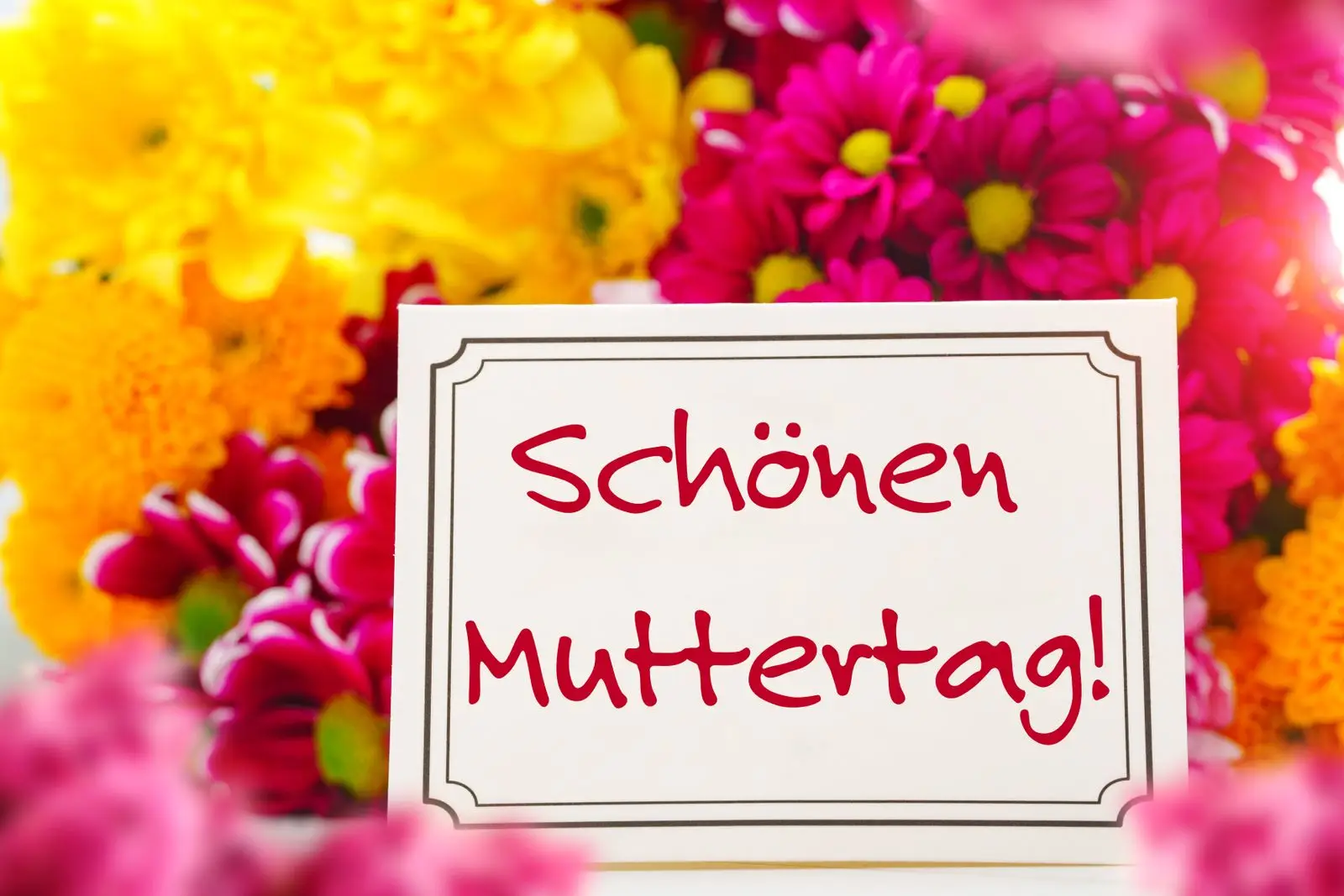 Allen müttern einen schönen muttertag auf blumen