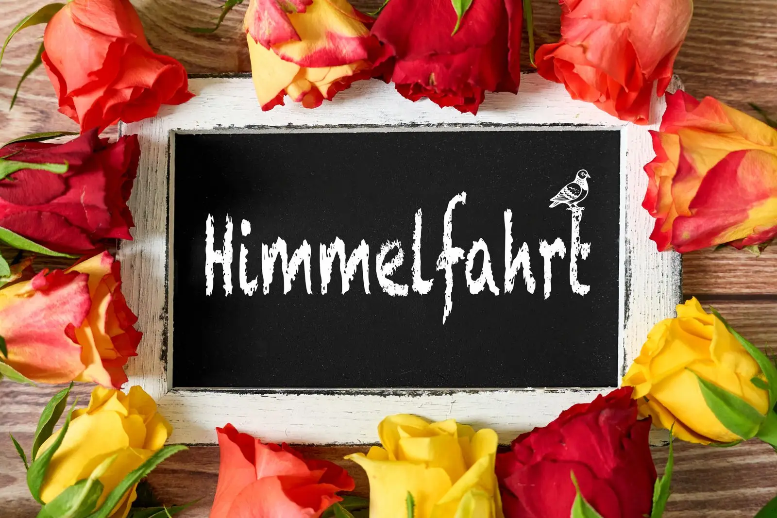 Christi himmelfahrt bild mit rosen und grüßen