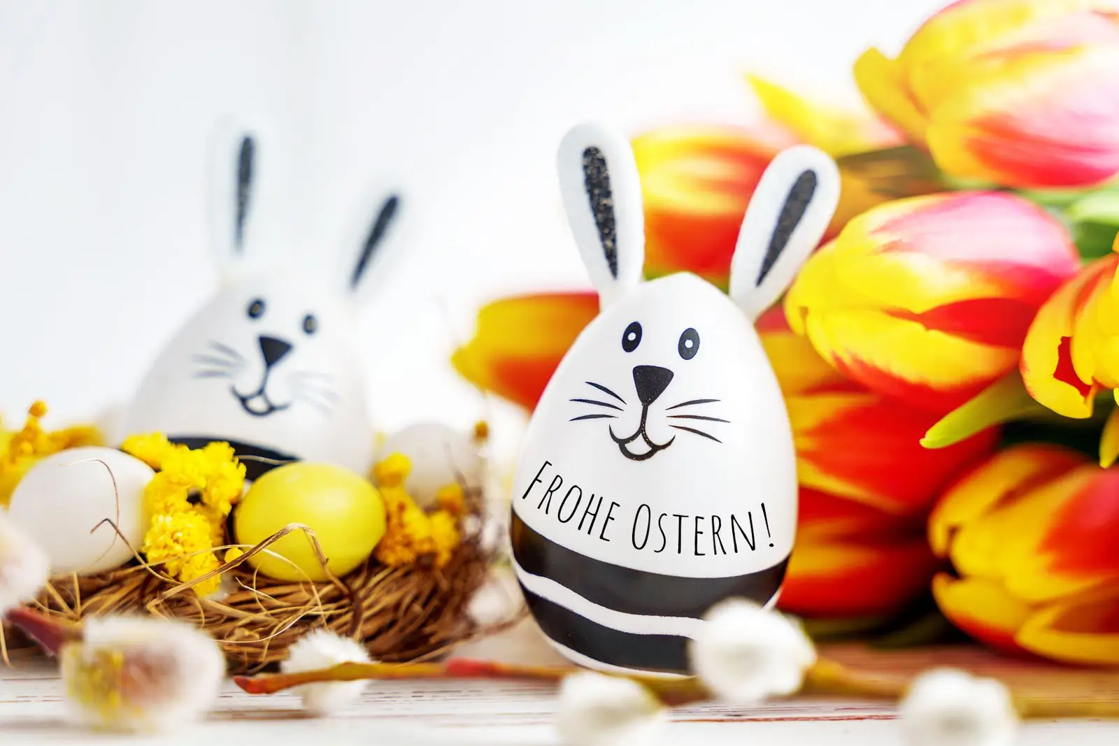 Frohe ostern wünsche 1 frohe ostern wunsche mit osterhasen eiern tulpen Frohe ostern wünsche mit osterhasen, eiern & tulpen