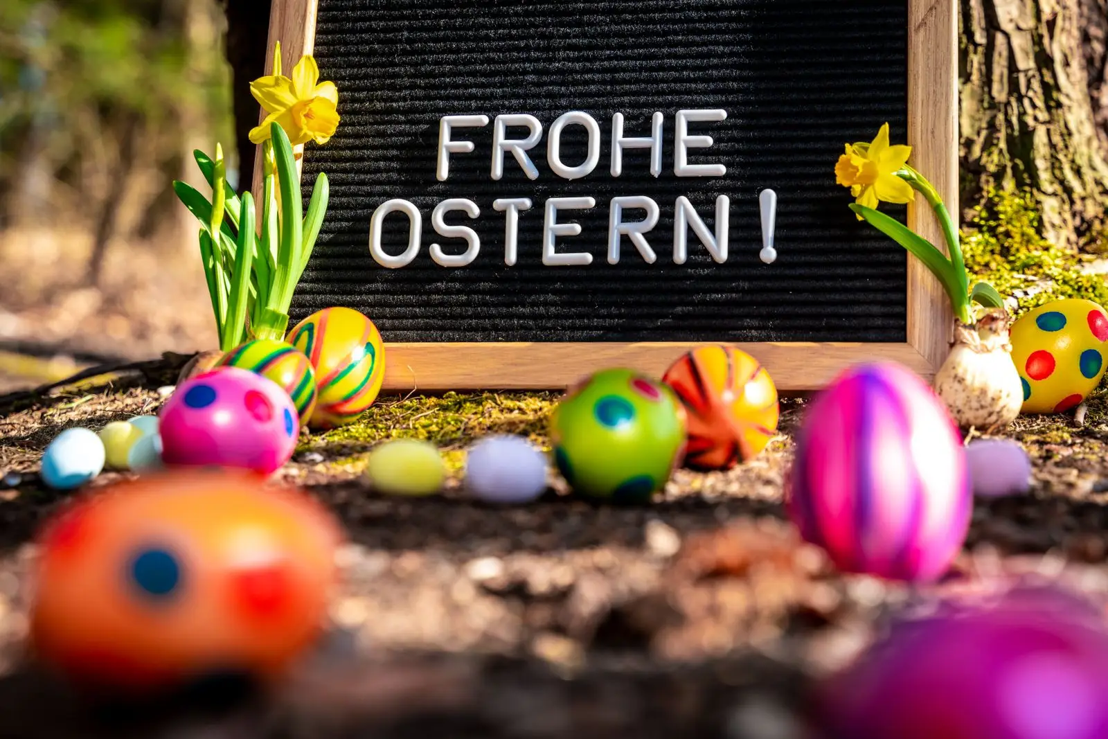 Frohe ostern bilder 1 frohe ostern wunsche und gruse mit ostereiern tafel Frohe ostern wünsche und grüße mit ostereiern & tafel