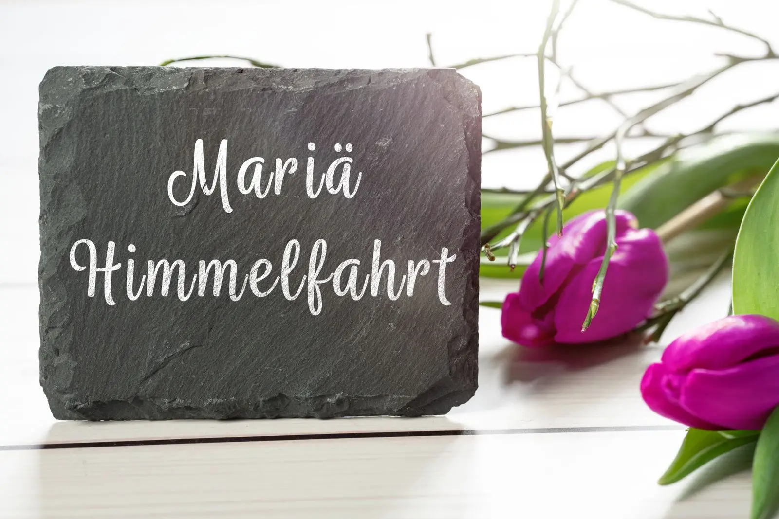 Mariä himmelfahrt feiertag 1 maria himmelfahrt feiertag bild auf tafel Mariä himmelfahrt feiertag bild auf tafel