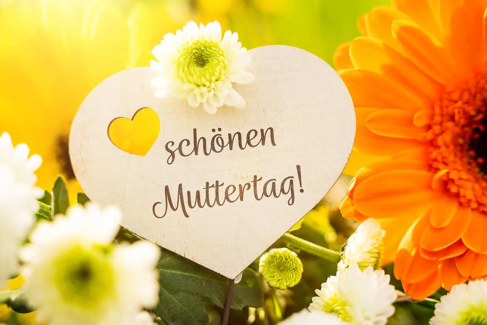 Muttertagsbild schönen muttertag mit blumen