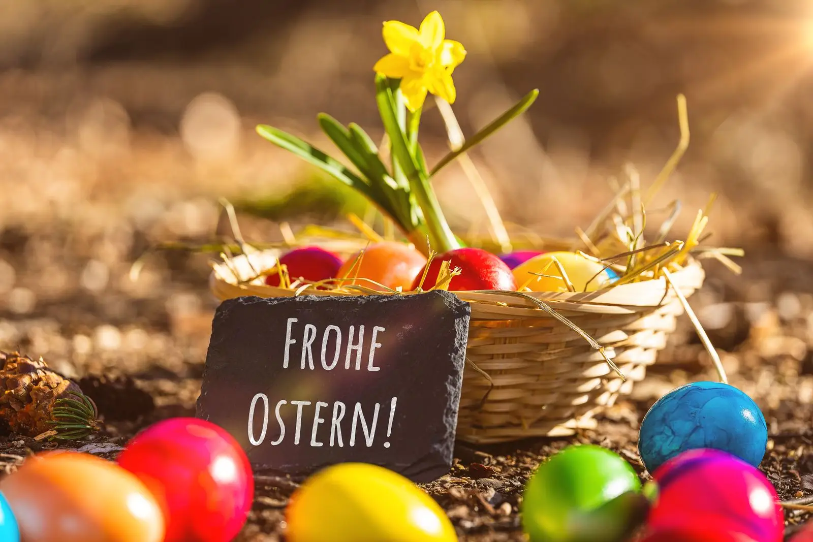 Osternest 1 osternest mit bunten eiern blume frohe ostern tafel Osternest mit bunten eiern, blume & frohe ostern tafel