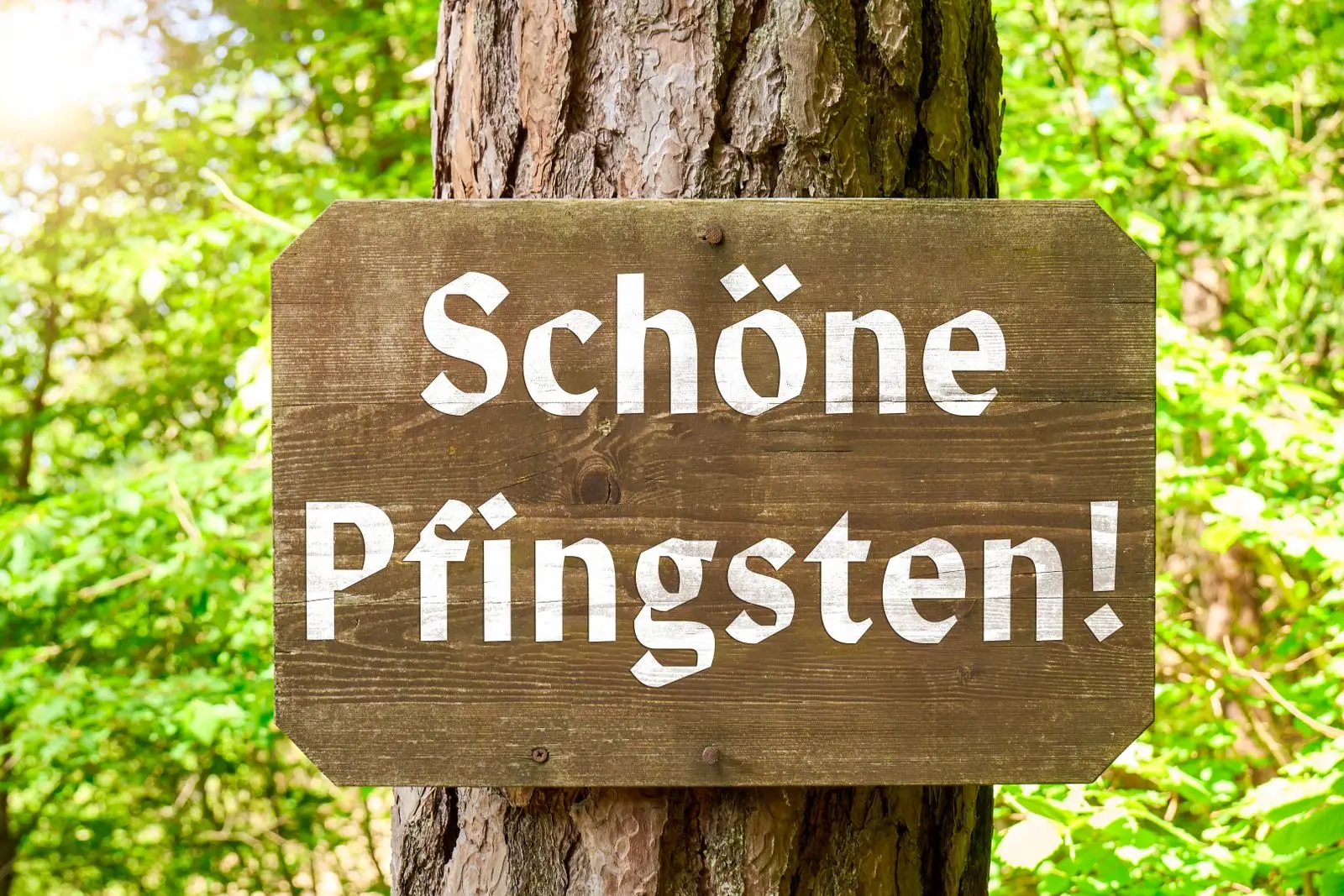 Schöne pfingsten wünsche auf schild
