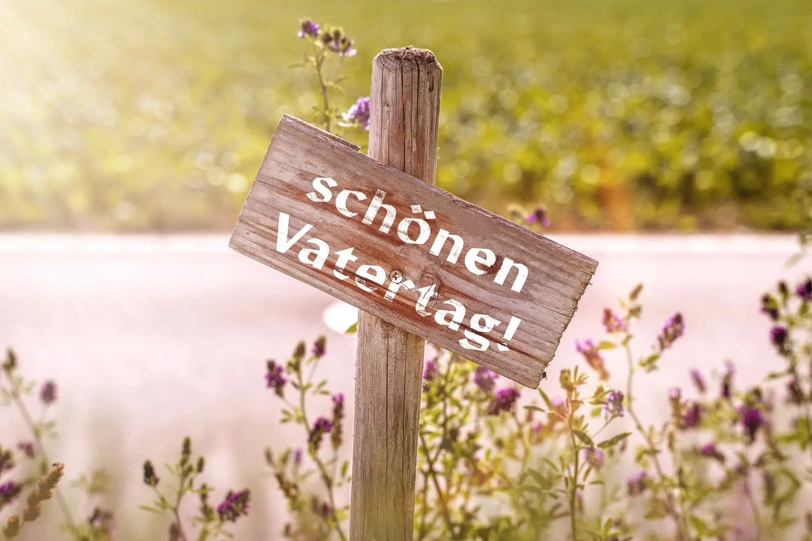 Vatertagsspruch schönen vatertagvatertagsspruch schönen vatertag