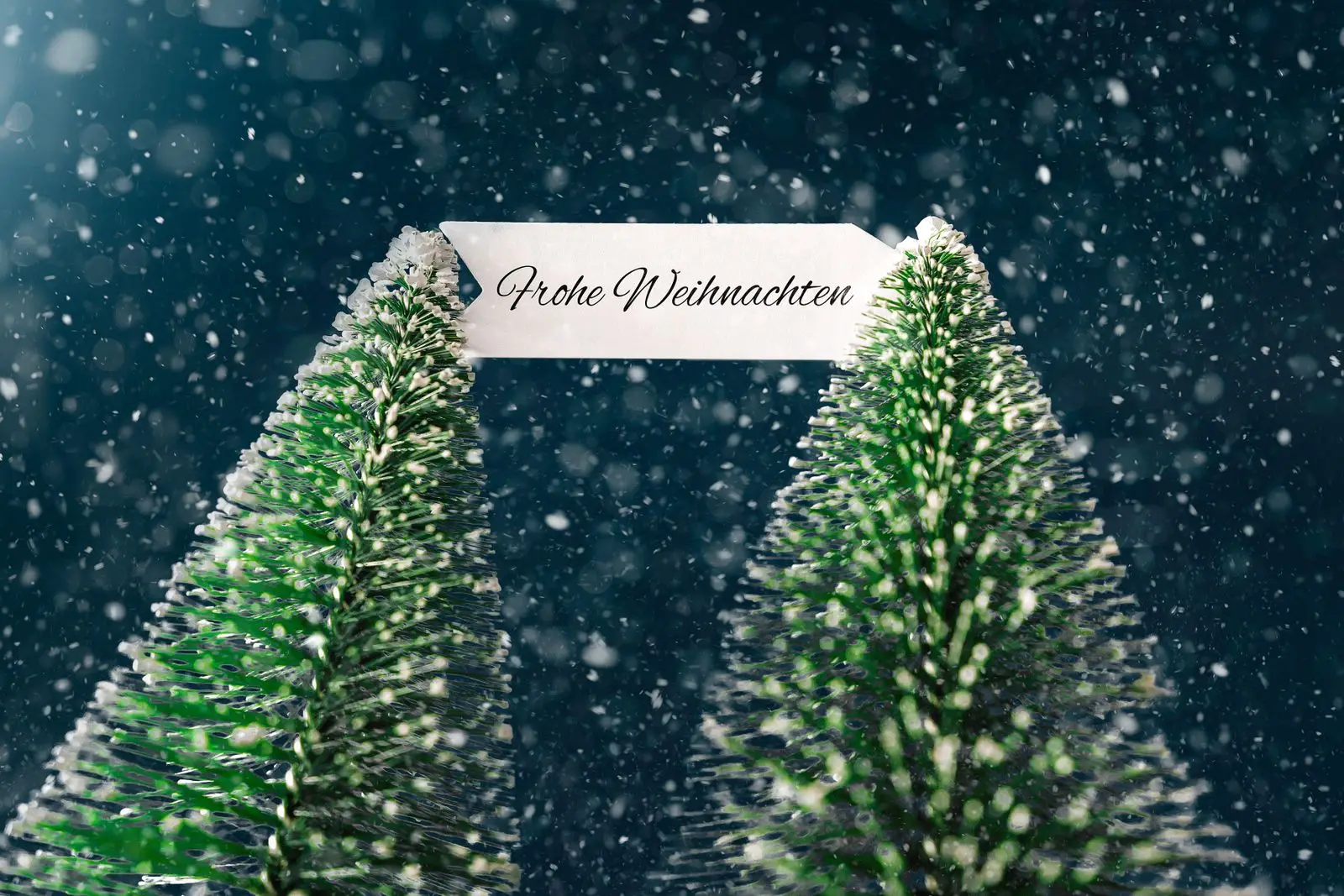Weihnachtsbaum bild