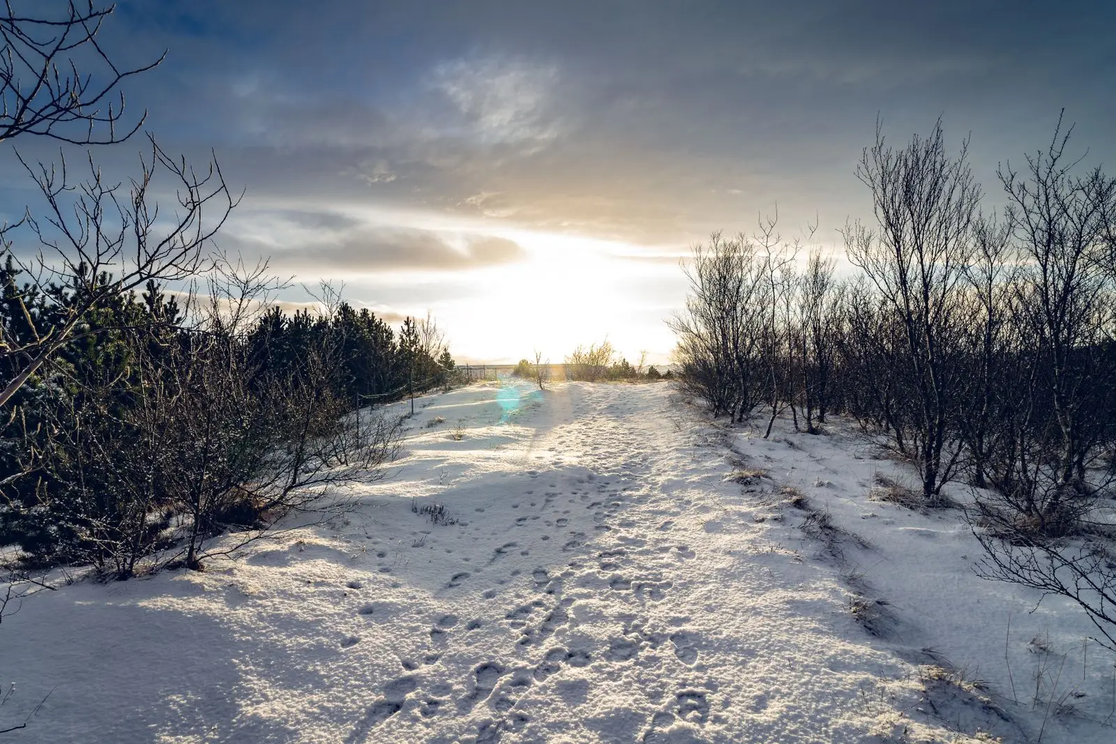 Bilder einer winterlandschaften mit weihnachtsgrüßen 1 winterlandschaft bild im schnee Winterlandschaft, bild im schnee