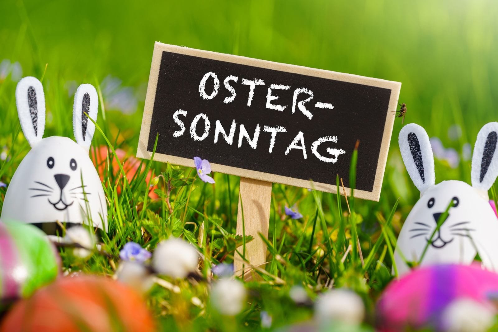 Ostersonntag schild mit osterhasen im gras