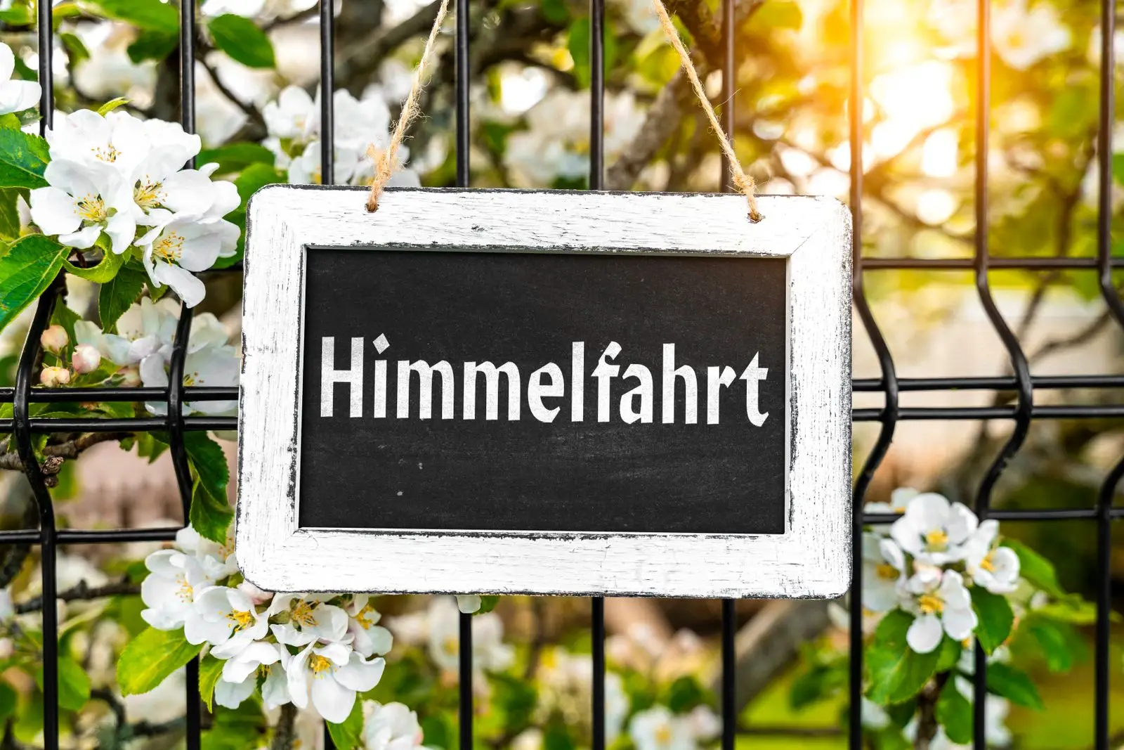 Christi himmelfahrt blumen und sprüche