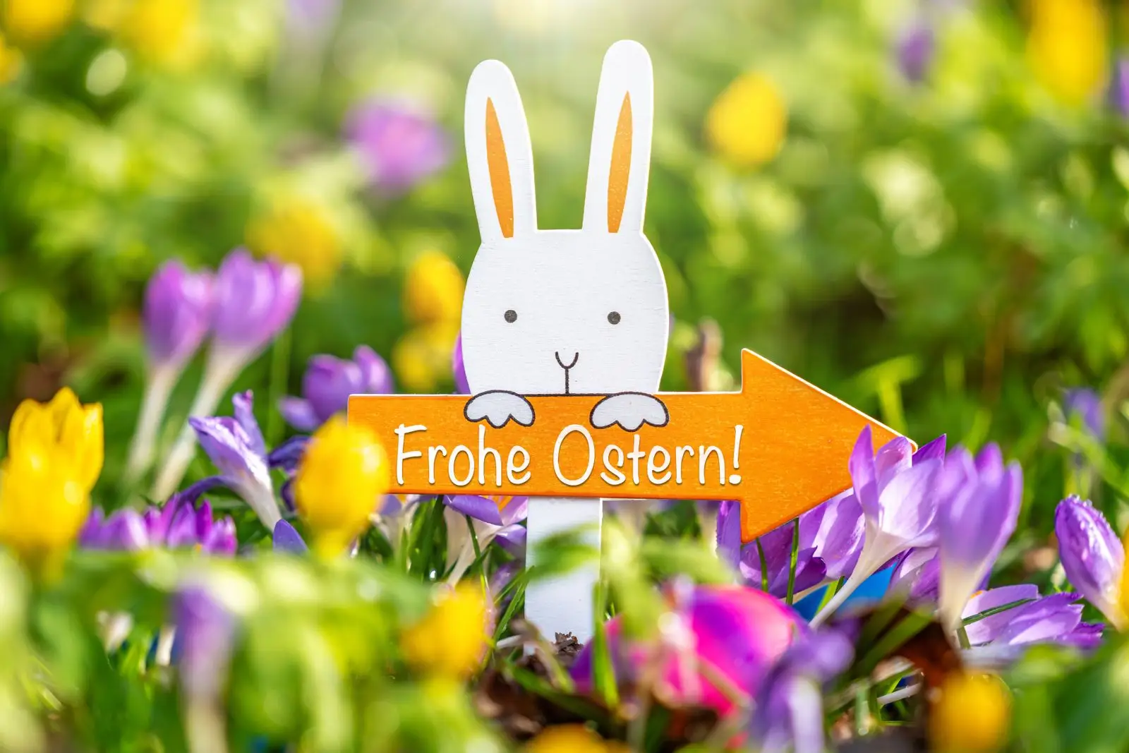 Frohe ostern bild mit ostergrus und osterhase