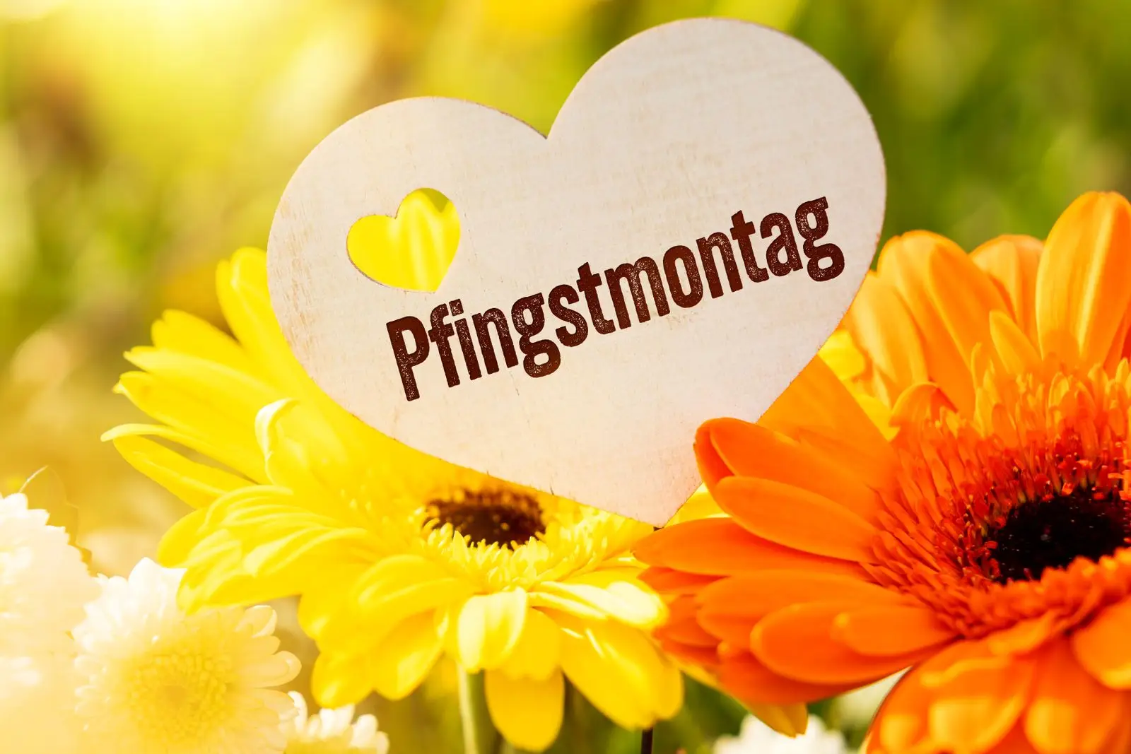 Aufschrift pfingstmontag feiertag zwischen bunten blumen