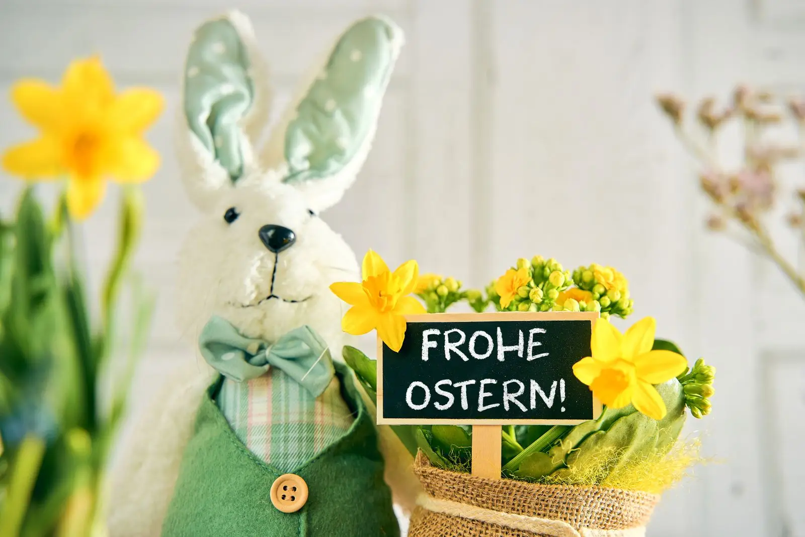 Osterhase wünscht frohe ostern