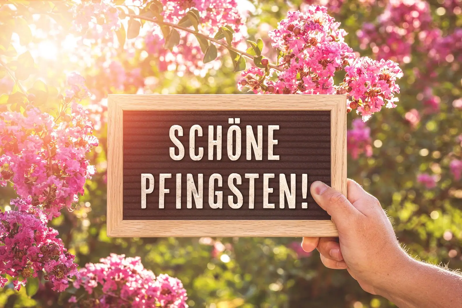 Pfingstgruß schöne pfingsten auf tafel