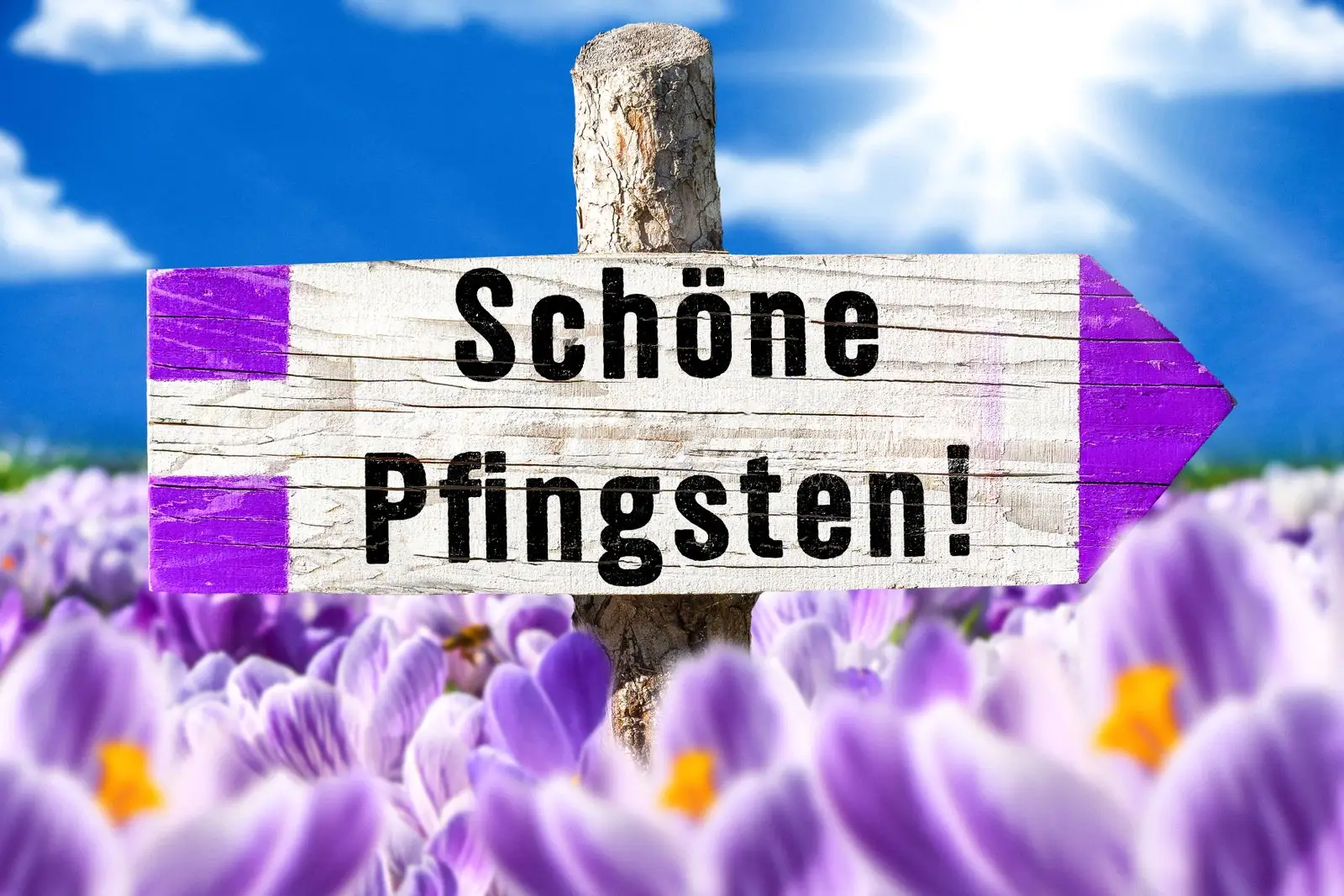 Pfingstgrüße schöne pfingsten
