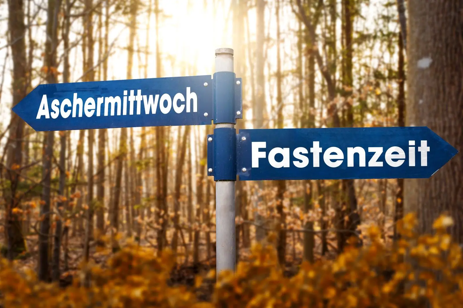 Schild fastenzeit und aschermittwoch vor bäumen