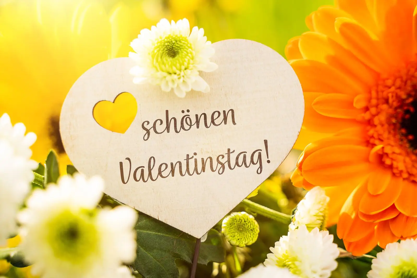 Schonen valentinstag grus im bild