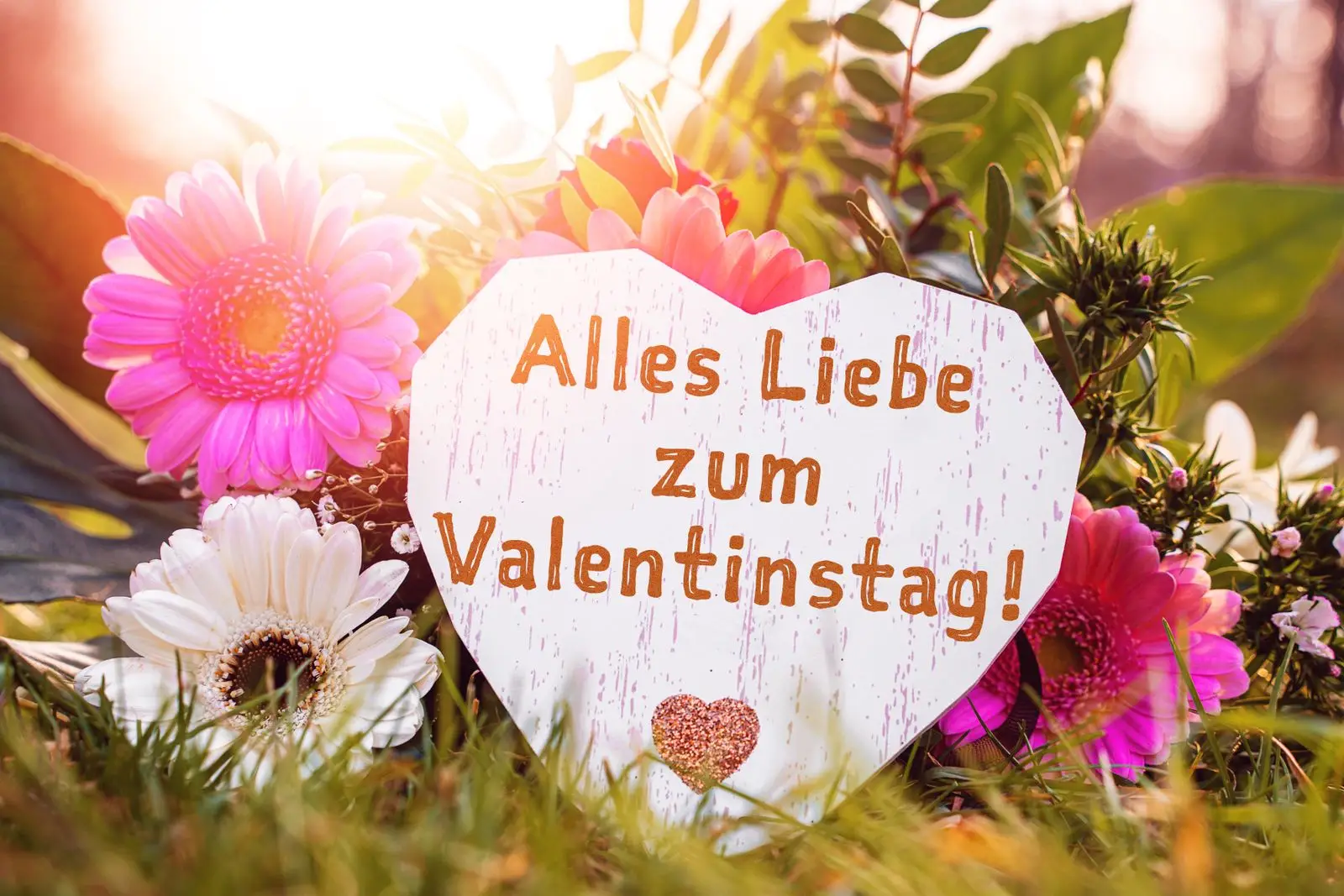 Valentinstag bilder - valentinsgruß