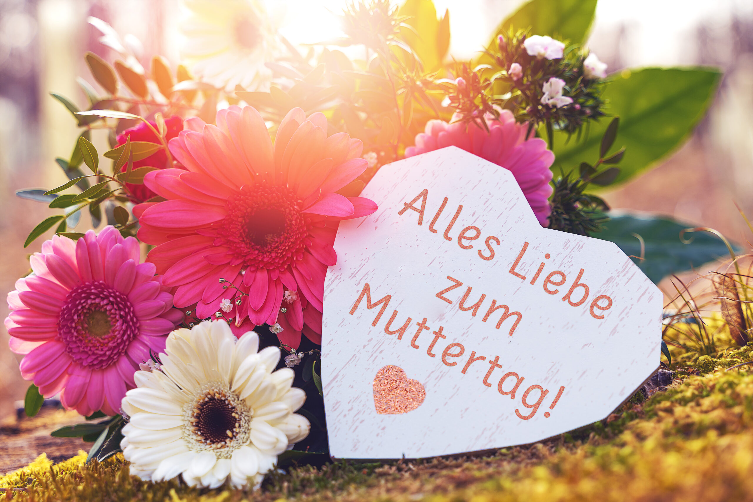 Alles liebe zum muttertag bilder