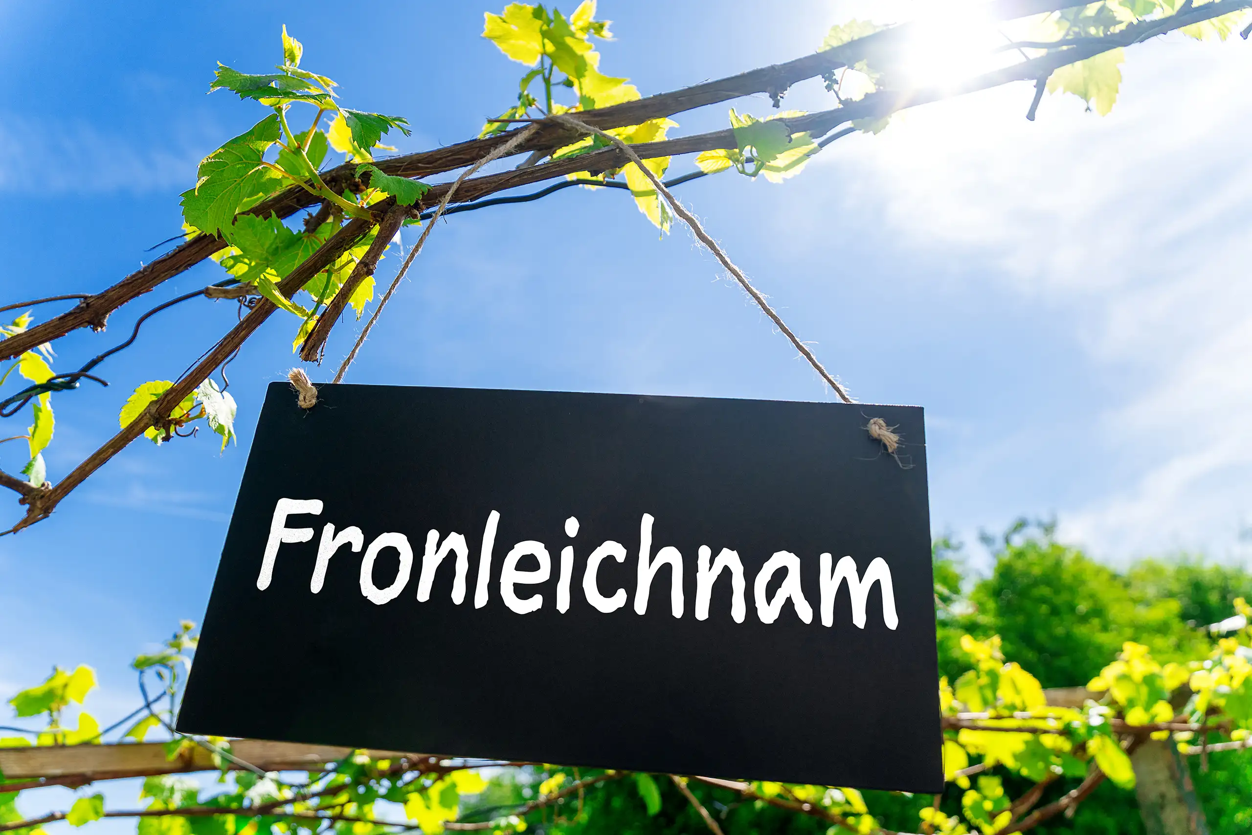 Fronleichnam schild an zweigen mit blauem himmel als festliche dekoration zum christlichen feiertag fronleichnam