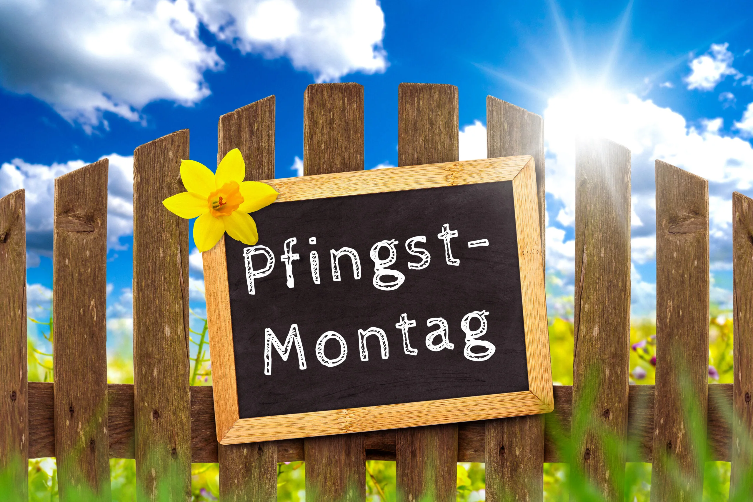 Pfingstmontag bilder 1 pfingstmontag scaled Pfingstmontag