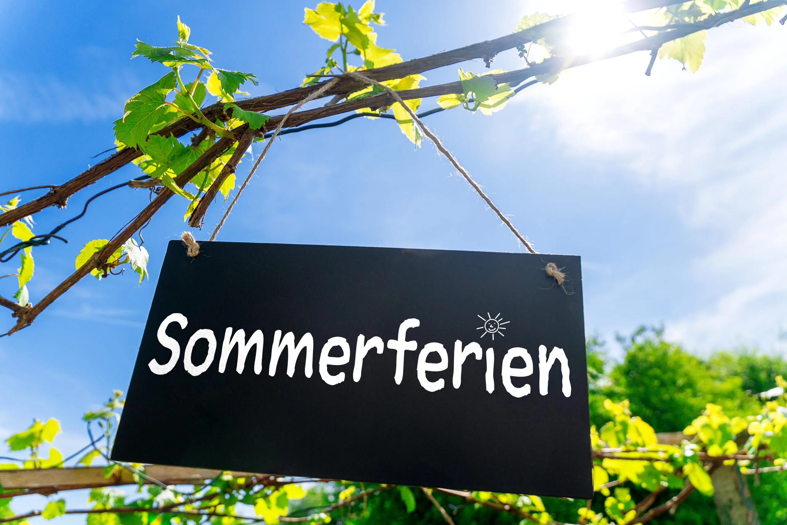 Sommerferien schriftzug im sommer
