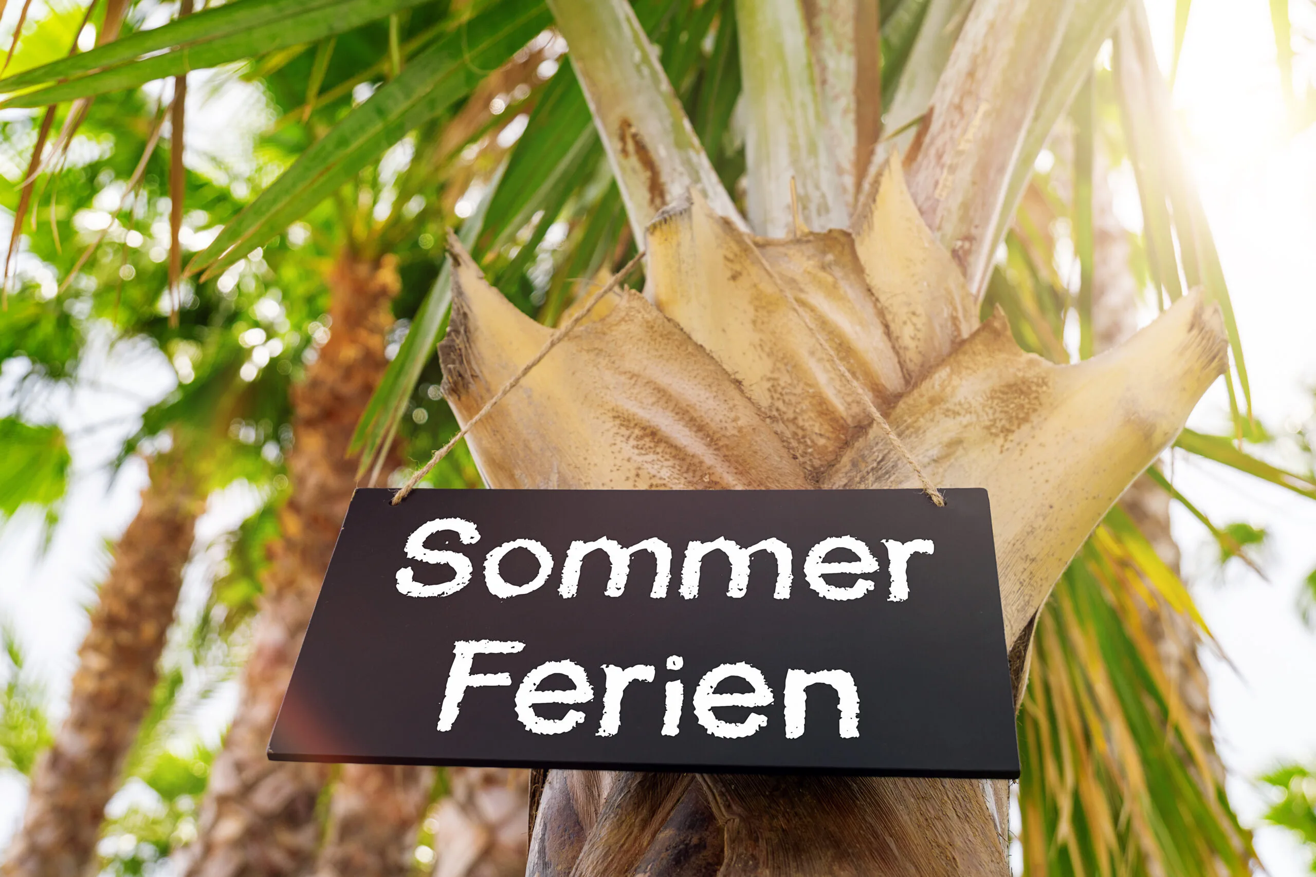 Sommerferien schild an palme
