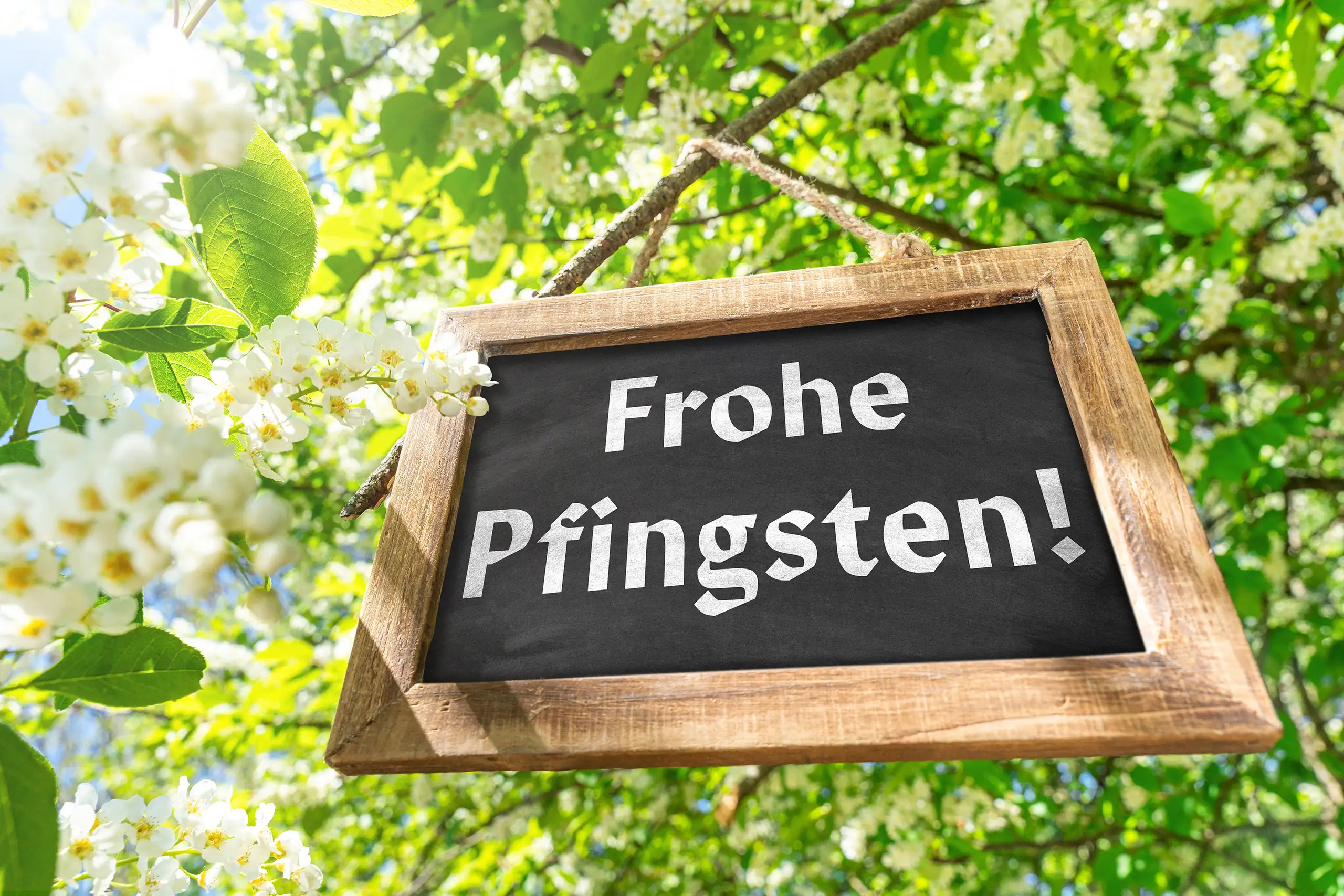 Bild frohe pfingsten 1 frohe pfingsten Frohe pfingsten