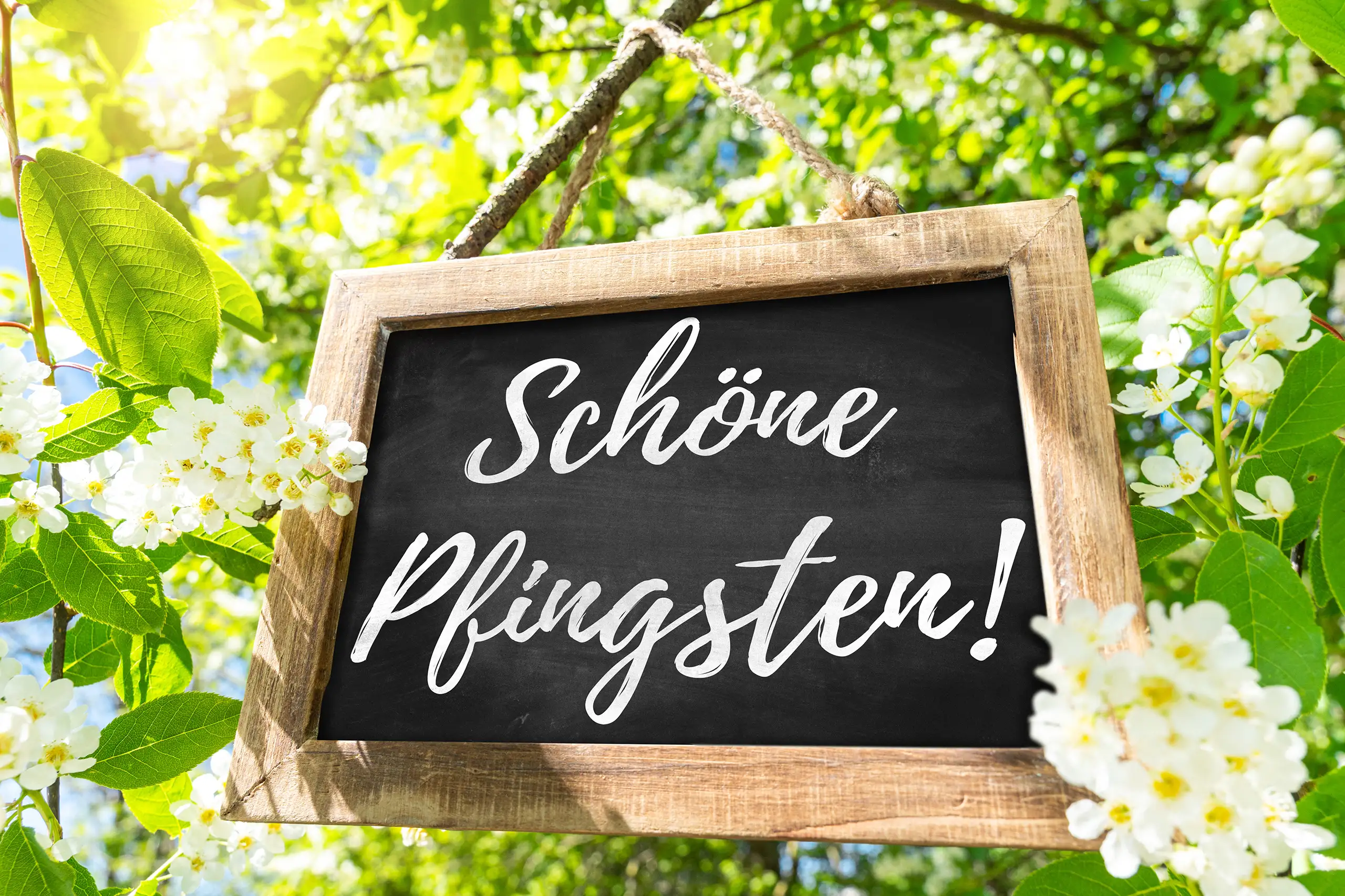 Schöne pfingsten wünsche