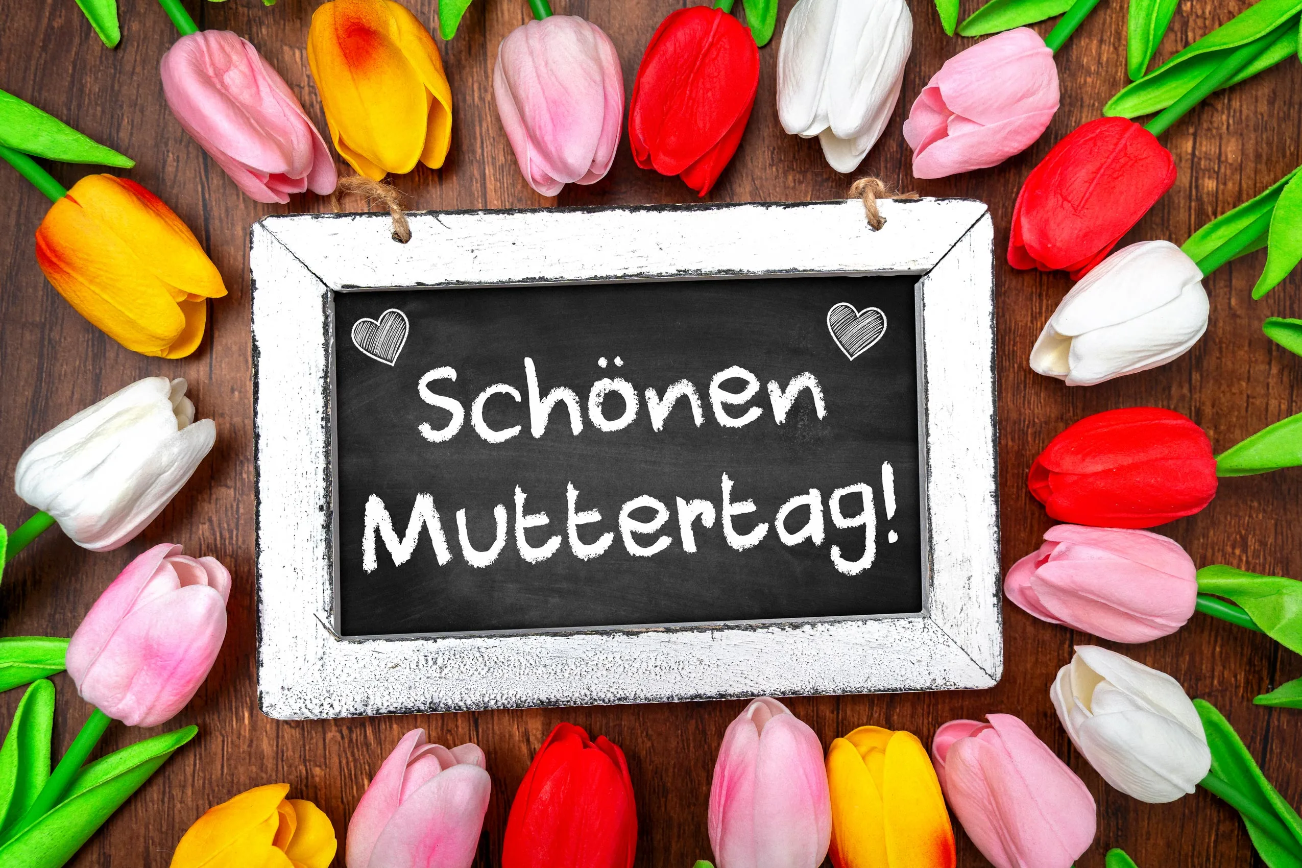 Schönen muttertag! Gruß mit tulpen